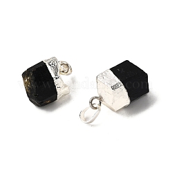 Natural Black Tourmaline Pendants&nbsp;G-G977-02S-01