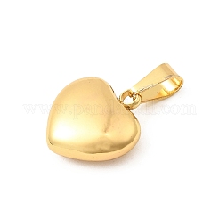 304 Stainless Steel Pendants&nbsp;STAS-C163-02A-G