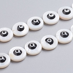 Natural Shell Beads Strands&nbsp;SSHEL-I024-03B