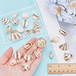 24Pcs 6 Styles Electroplated Natural Mixed Shell Pendants&nbsp;SSHEL-ME0001-03