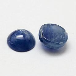 Dome Natural Kyanite/Cyanite/Disthene Cabochons&nbsp;G-O146-01A