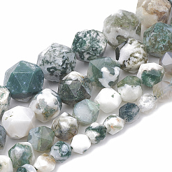 Natural Tree Agate Beads Strands&nbsp;G-S332-6mm-010