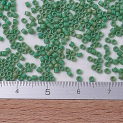 MIYUKI Delica Beads Small&nbsp;SEED-X0054-DBS0877