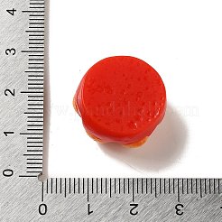 Opaque Resin Imitation Food Decoden Cabochons&nbsp;X-CRES-A058-02E