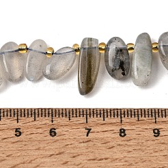 Natural Labradorite Beads Strands&nbsp;GG-CBADF20-A05