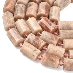 Natural Sunstone Beads Strands&nbsp;G-G453-E09-10x14mm