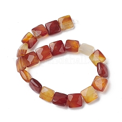 Natural Red Agate Beads Strands&nbsp;G-K359-B11-01