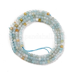 Natural Flower Amazonite Beads Strands&nbsp;X-G-F770-A03-02
