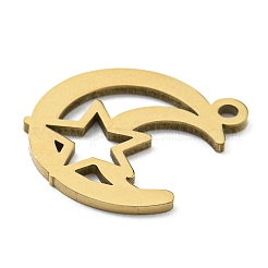 Ion Plating(IP) 316L Surgical Stainless Steel Pendants&nbsp;STAS-M317-29G