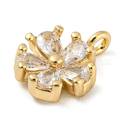 Brass with Clear Cubic Zirconia Charms&nbsp;X-KK-G478-02A-KCG