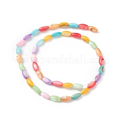 Natural Freshwater Shell Dyed Beads Strands&nbsp;X-SHEL-M018-13-12