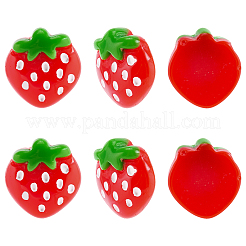 60Pcs Resin Decoden Cabochons&nbsp;CRES-SC0003-15