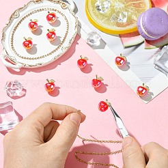 Alloy Resin Charms&nbsp;RESI-CJC0027-09
