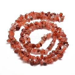 Natural South Red Agate Chip Bead Strands&nbsp;G-M205-49
