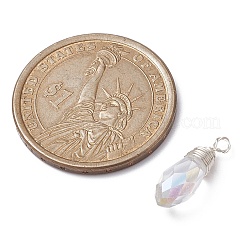 Transparent Glass Pendant&nbsp;PALLOY-JF02259