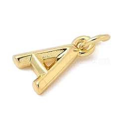 Brass Charms&nbsp;KK-I382-08G-A