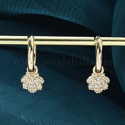 Brass Clear Cubic Zirconia Hoop Earrings&nbsp;EJEW-Q014-06G