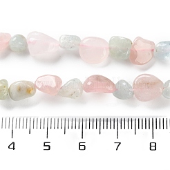 Natural Morganite Beads Strands&nbsp;G-P497-01C-57