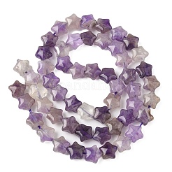 Natural Amethyst Star Beads Strands&nbsp;G-Z080-A04