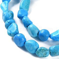 Natural Howlite Turquoise Beads Strands&nbsp;G-P497-01C-55