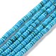 Shell Beads Strands&nbsp;SSHEL-E571-49C-2