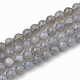 Natural Labradorite Beads Strands&nbsp;G-T064-70A-1