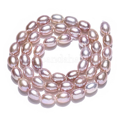 Natural Cultured Freshwater Pearl Beads Strands&nbsp;PEAR-N012-06W