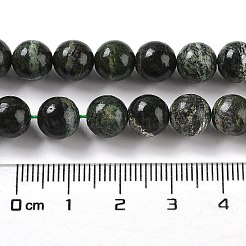 Natural Silver Line Jasper Beads Strands&nbsp;G-Z042-A01-02