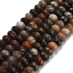 Natural Petrified Wood Beads Strands&nbsp;G-Z111-A50