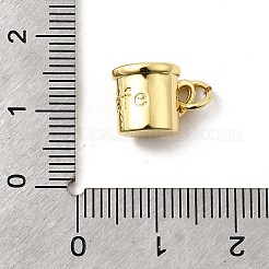 Brass Charms&nbsp;KK-I364-10G-01
