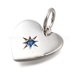 925 Sterling Silver Micro Pave Clear Cubic Zirconia Charms&nbsp;STER-V001-01P-09
