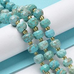 Natural Howlite Beads Strands&nbsp;G-E604-D01-A