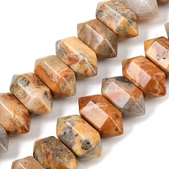 Natural Crazy Agate Double Terminated Point Beads Strands&nbsp;G-T142-90