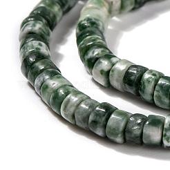 Natural Green Spot Jasper Beads Strands&nbsp;G-F631-A18
