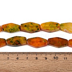 Natural Multi-Color Agate Beads Strands&nbsp;G-Q606-73