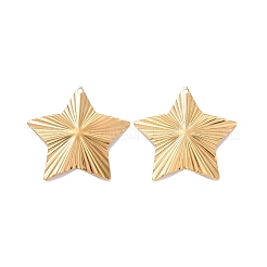 304 Stainless Steel Pendants&nbsp;X-STAS-A061-06G