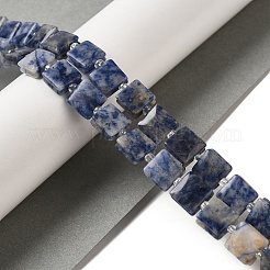 Natural Blue Spot Jasper Beads Strands&nbsp;G-L596-A07-01