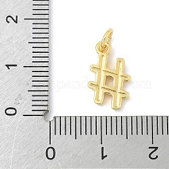 Brass Charms&nbsp;KK-I276-71G