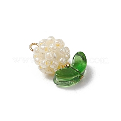 Glass Seed Beads Pendants&nbsp;PALLOY-MZ00592-01