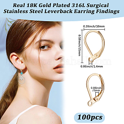 100Pcs 316L Surgical Stainless Steel Leverback Earring Findings&nbsp;STAS-BBC0010-61G