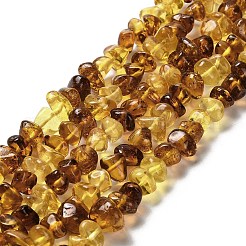 Natural Amber Beads Strands&nbsp;G-L095-L01-04