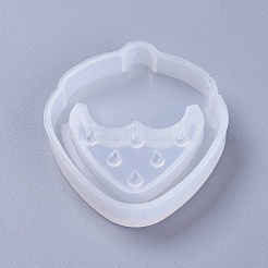 Shaker Mold&nbsp;DIY-F031-15