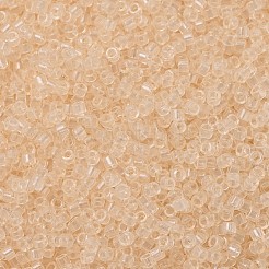 MIYUKI Delica Beads&nbsp;SEED-JP0008-DB1409