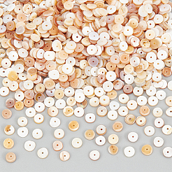 3 Strands Natural Shell Beads Strands&nbsp;SSHEL-NB0001-44B