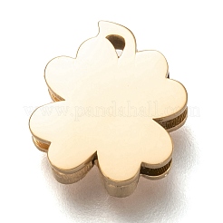 304 Stainless Steel Slide Charms&nbsp;STAS-P270-04G-02