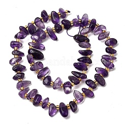 Natural Amethyst Beads Strands&nbsp;G-Z091-A13