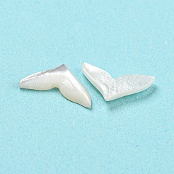 Natural Sea Shell Cabochons&nbsp;SHEL-D079-26