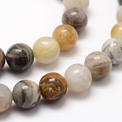 Natural Bamboo Leaf Agate Beads Strands&nbsp;X-G-F364-02-8mm