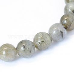 Natural Labradorite Round Bead Strands&nbsp;G-E334-4mm-19