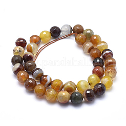 Natural Striped Agate/Banded Agate Beads&nbsp;G-J371-02-12mm